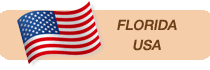 USA flag - Florida